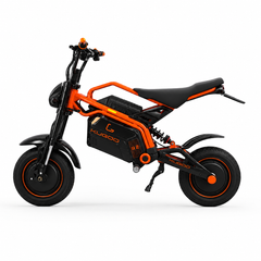 【KUGOO Wish Runner】Moto électrique tout-terrain 3000W*2