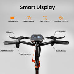 【Ruitoo T2 Max】1000W Electric Scooters