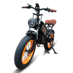 【Kugoo V5】High-Powered Electric Bike with 750W Motor - Duabi Warehouse Shipping
