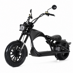 Kugoo M1 Fat Tire Harley Electric Bike | 2000W Urban Cruiser - EEC & COC Certified EU Legal on Road 【 ship from Germany】 4-8 days delivery